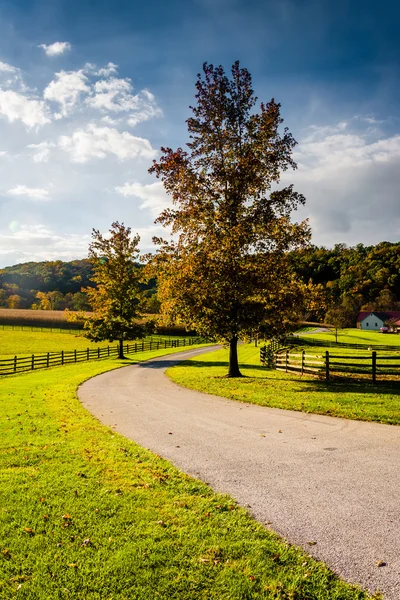 Campos de árboles y granjas a lo largo de una carretera agrícola en el condado rural de York, Pen — Foto de Stock