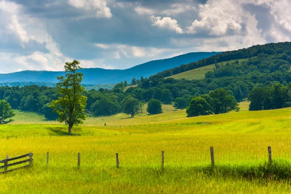 Tree and fence in a field and hills in the rural Potomac Highlan — Stock Photo, Image