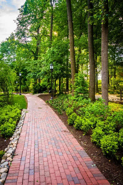 Trees and bushes along a brick path at John Hopkins University i