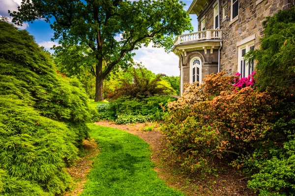 Árboles y arbustos detrás de la mansión Cylburn en Cylburn Arboretum — Foto de Stock