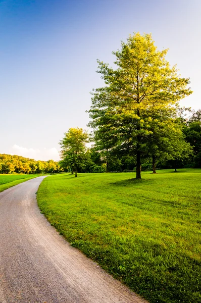 Árboles y césped a lo largo del camino de tierra en el condado de Southern York, Pennsylv — Foto de Stock