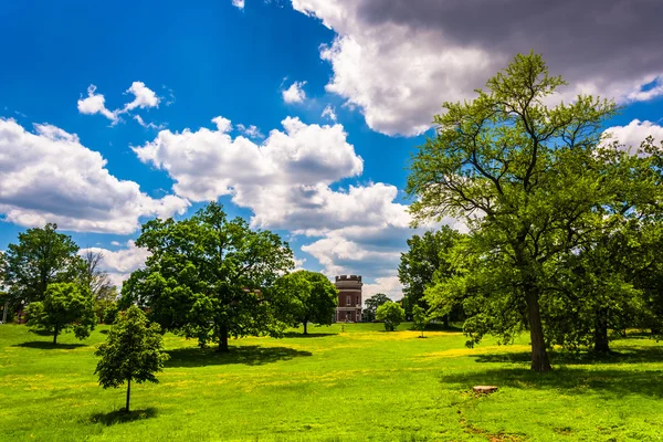 Trees in a field in Druid Hill Park, Baltimore, Maryland. — Stock Photo, Image