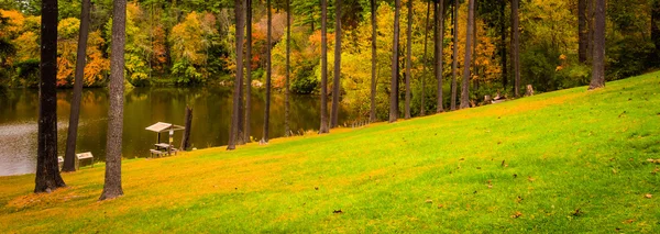 Bäume auf einem Hügel über dem Lake Williams, in der Nähe von York, Pennsylvania. — Stockfoto