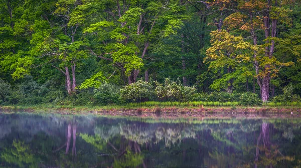 Bäume spiegeln sich in einem Teich bei Delaware Water Gap National Recrea — Stockfoto