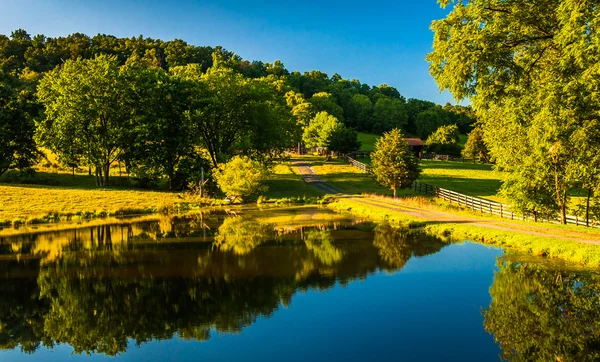 Árboles reflejándose en un estanque en el valle de Shenandoah, Virginia . — Foto de Stock