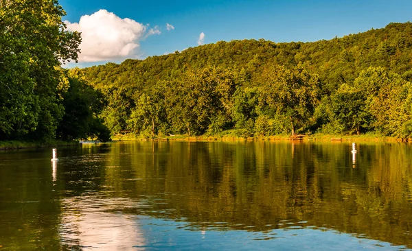 Árvores refletindo no rio Shenandoah, visto do Baixo Wate — Fotografia de Stock