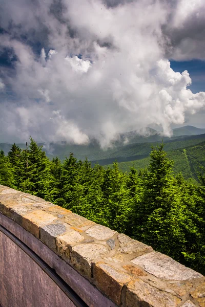 Uitzicht vanaf de uitkijktoren op mount mitchell, north carolin — Stockfoto