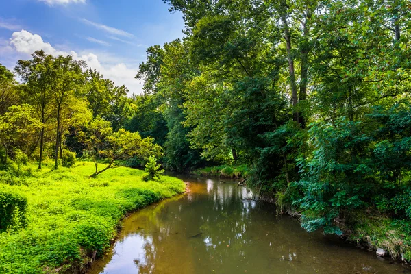 Vista de Codorus Creek, en el condado de York, Pennsylvania . — Foto de Stock