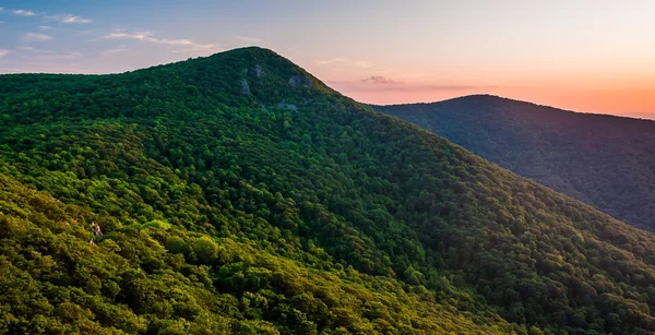 View of Hawksbill Mountain at sunset, from Crescent Rock Overloo — Stock Photo, Image