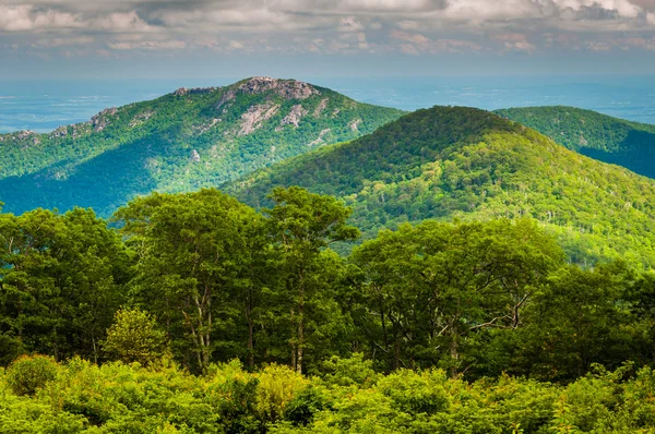 Shenandoa の古いぼろきれ山大通り見落とすからを見る — Stock fotografie