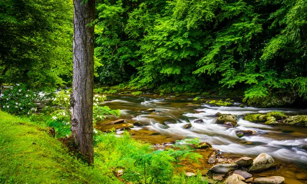 Visa av Korpen gaffel, nära cherokee, north carolina. — Stockfoto