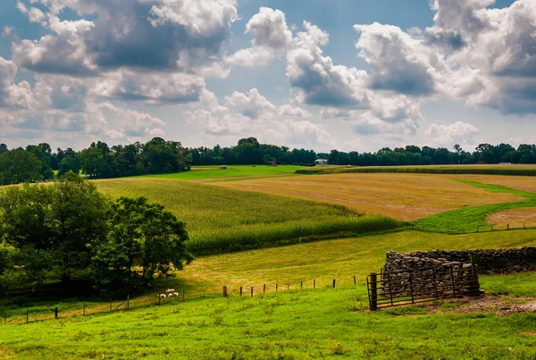 View of a farm and rolling hills in rural Baltimore County, Mary — Stock Photo, Image