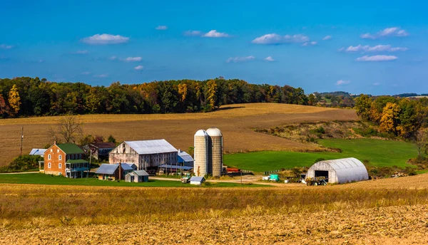 Widok farmy w wiejskiej okolicy york county, pennsylv — Zdjęcie stockowe