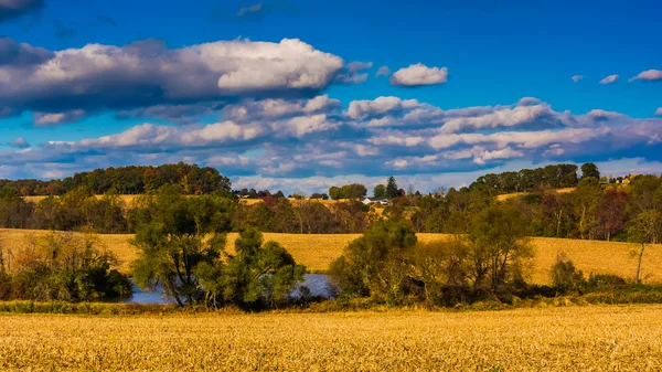 Vista de un estanque y campos agrícolas en el condado rural de York, Pennsylvani —  Fotos de Stock