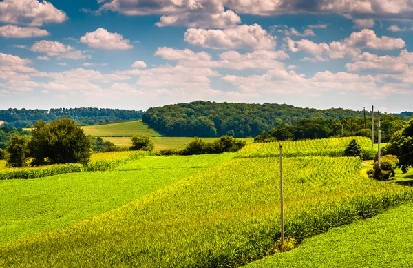Blick auf Maisfelder und sanfte Hügel im ländlichen Kreis York, penn — Stockfoto
