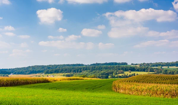 Vista de campos de fazenda e colinas distantes no Condado de York rural, Penn — Fotografia de Stock