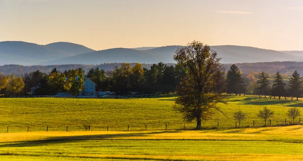 Vista di campi agricoli e montagne lontane da Longstreet Observ — Foto Stock