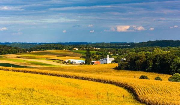 Vedere de terenuri agricole și dealuri rulante de pe un deal din York rural — Fotografie, imagine de stoc