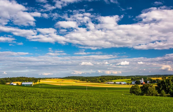 Vista de campos agrícolas e colinas de uma colina perto de Cross Roa — Fotografia de Stock