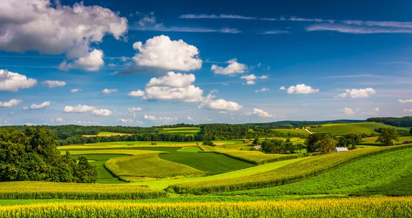 Vista de campos agrícolas y colinas onduladas en el condado de Southern York, P — Foto de Stock