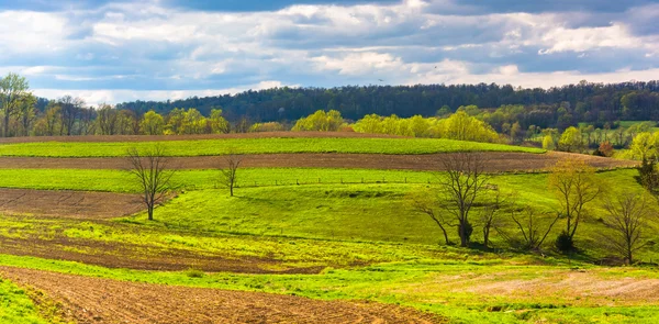 Pohled na zemědělských polí a kopcovité venkovské york county, penn — Stock fotografie