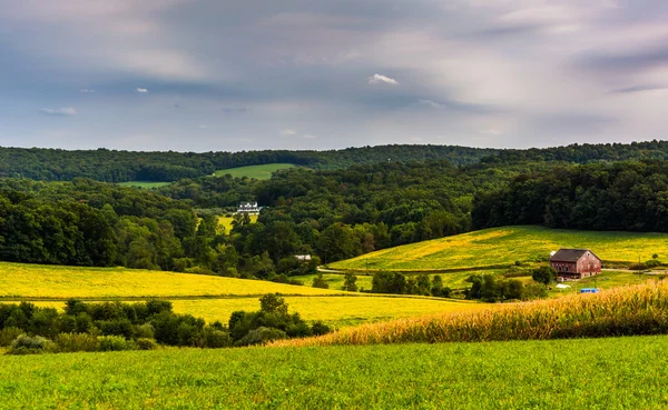 Vista de campos agrícolas y colinas onduladas en el condado rural de York, Penn — Foto de Stock