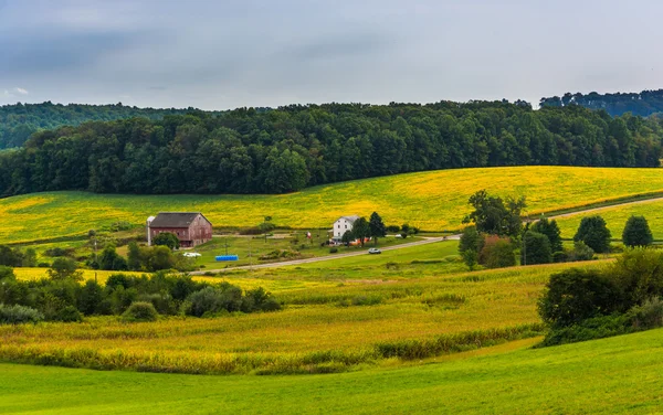 Vista de campos agrícolas y colinas onduladas en el condado rural de York, Penn — Foto de Stock
