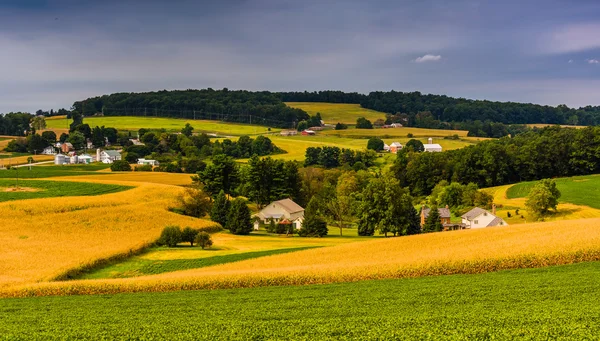 Blick auf landwirtschaftliche Felder und sanfte Hügel im ländlichen Kreis York, penn — Stockfoto