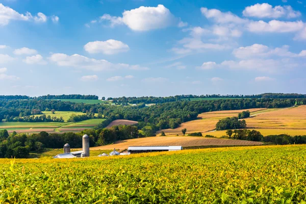 Pohled z farem a zvlněné kopce ve venkovských york county, pennsylvan — Stock fotografie