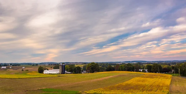 시골 랭 커스터 군, 펜실베니아에 있는 농장 필드의 보기. — 스톡 사진