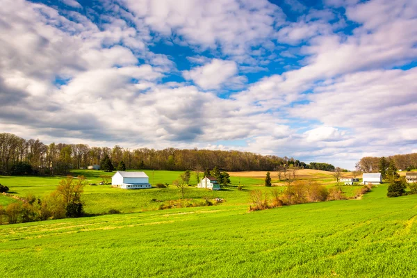 Перегляд фермерських господарств у сільській york county, штат Пенсільванія. — стокове фото