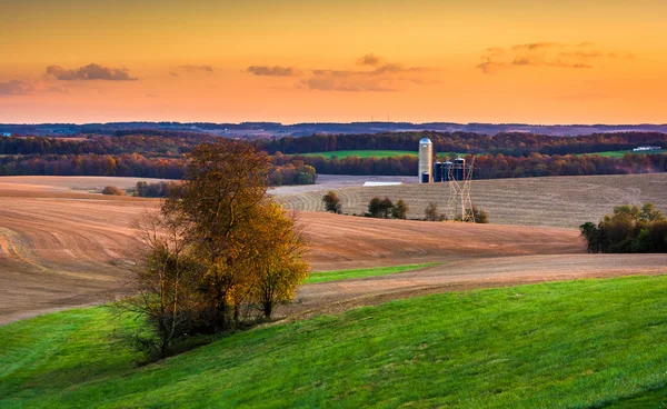 View of fields and rolling hills at sunset near Brogue, Pennsylv — Stock Photo, Image