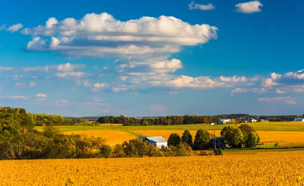 Blick auf Hügel und Felder im ländlichen Kreis York, Pennsylvania — Stockfoto
