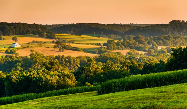 Vista de colinas onduladas y campos agrícolas al atardecer, en la zona rural de York C — Foto de Stock