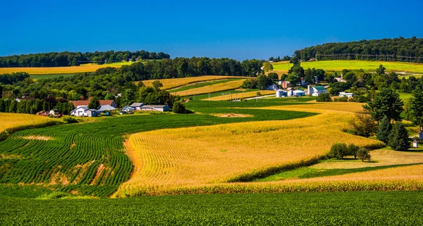 Inişli çıkışlı tepeler ve tarım alanları kırsal york county, penn içinde görünüm — Stok fotoğraf