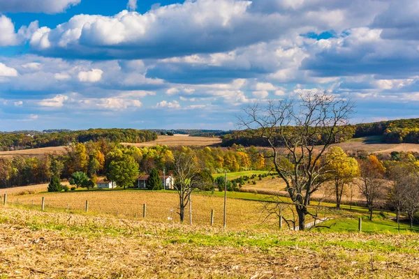 Widok toczenia wzgórz i pól rolniczych w wiejskich york penn powiatu, — Zdjęcie stockowe