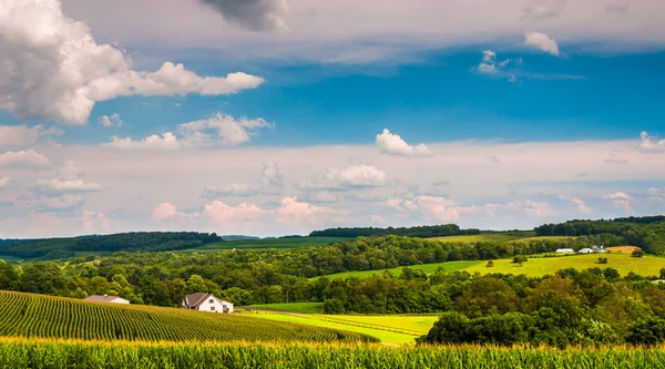 Vista de colinas onduladas y campos agrícolas en el condado rural de York, Penn — Foto de Stock