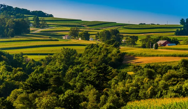 Utsikt över böljande kullar och gårdar i södra york county, pennsyl — Stockfoto