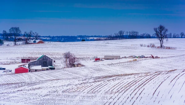 Vista de campos agrícolas cubiertos de nieve en el condado rural de York, Pennsylva — Foto de Stock