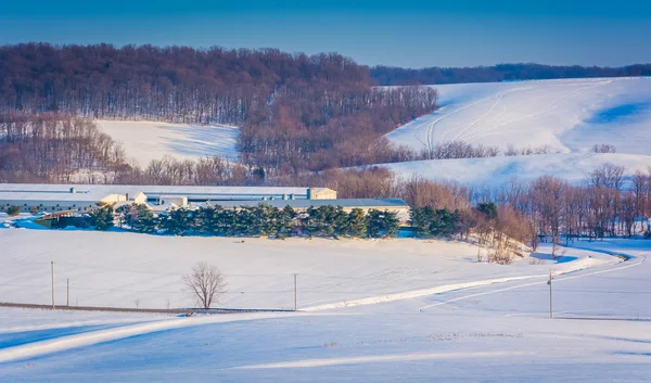 View of snow covered rolling hills and farm fields in rural York — Stock Photo, Image