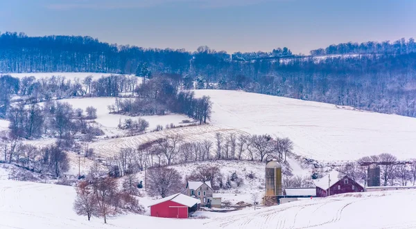 Veduta dei campi innevati e delle dolci colline nelle campagne di York — Foto Stock