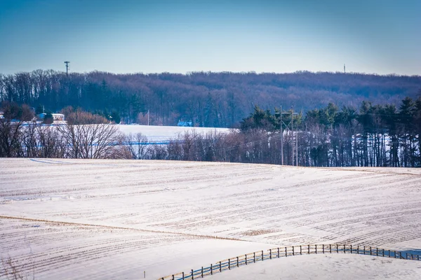 View of snow-covered farm fields in rural York County, Pennsylva — Stock Photo, Image