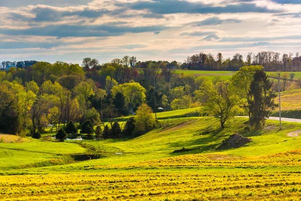 Vedere de culoare de primăvară în York County, Pennsylvania . — Fotografie, imagine de stoc