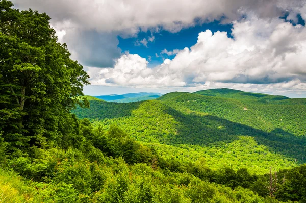 Vista das Montanhas Apalaches de Skyline Drive em Shenando — Fotografia de Stock