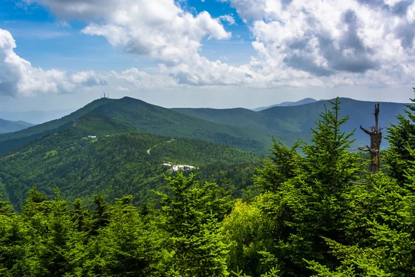 View of the Appalachian Mountains from the Observation Tower at — Stock Photo, Image
