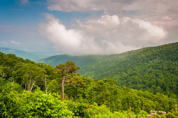 Veduta delle montagne degli Appalachi in una giornata nebbiosa a Shenandoah N — Foto Stock