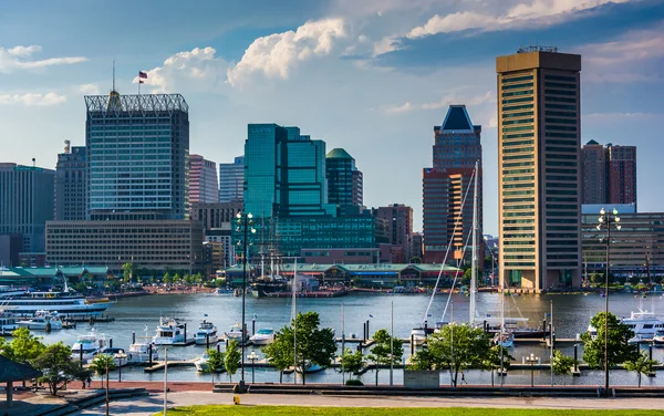 Vista del horizonte de Baltimore y del puerto interior desde Federal Hill —  Fotos de Stock