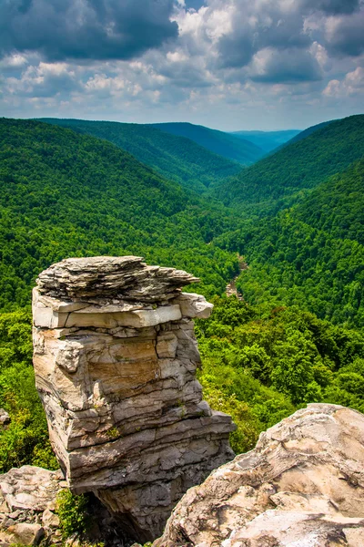 View of the Blackwater Canyon from Lindy Point, Blackwater Falls — Stock Photo, Image