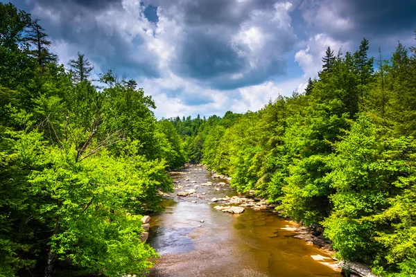 Vedere a râului Blackwater de pe un pod de la Blackwater Falls S — Fotografie, imagine de stoc