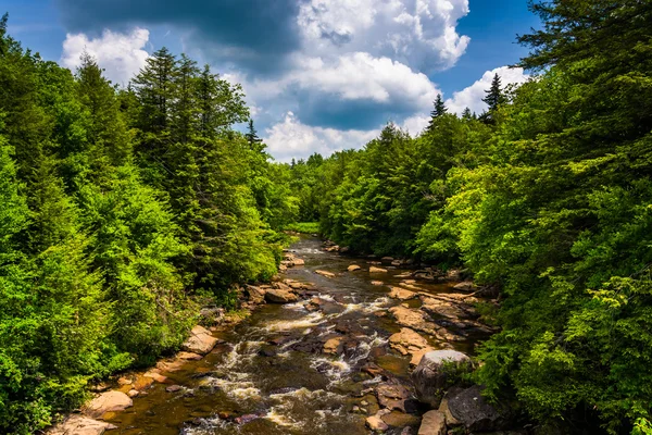 View of the Blackwater River from a bridge at Blackwater Falls S — Stock Photo, Image